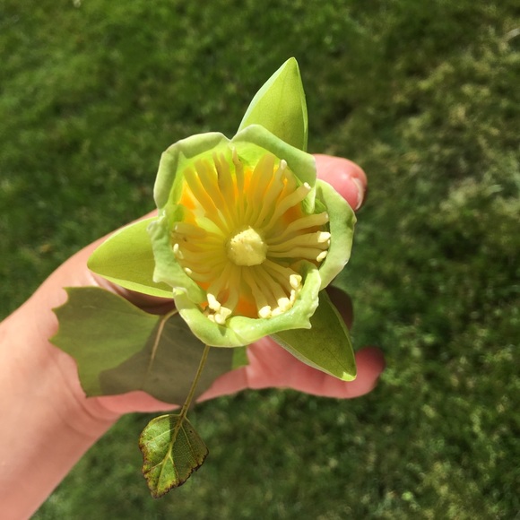 Meet your Posher, Michaela - Picture 1 of 1